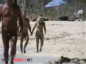 delectable nude beach voyeur spy web cam video